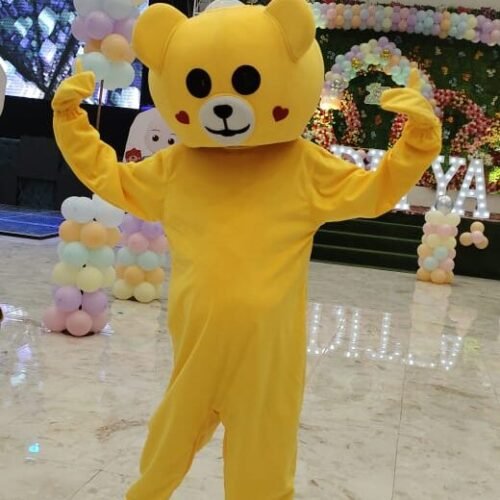 Teddy Bear Live Mascot Character for Kid’s Birthday Party