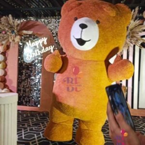 Inflatable Teddy bear character for Party entertainment