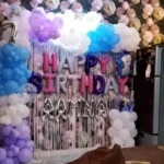 Frozen Theme Birthday Decoration