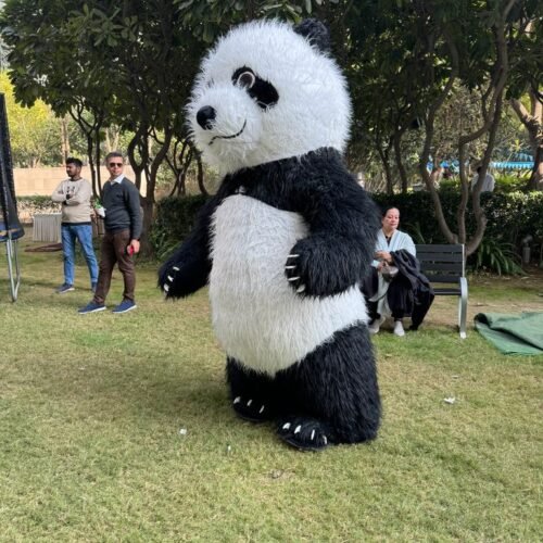 Mascot Panda Character for Party Entertainment | Book Now