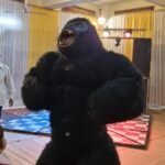 Black Gorilla Mascot for Birthday Party