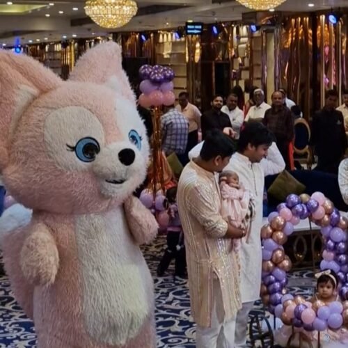Fluffy Pink Fox Mascot for Birthday Party