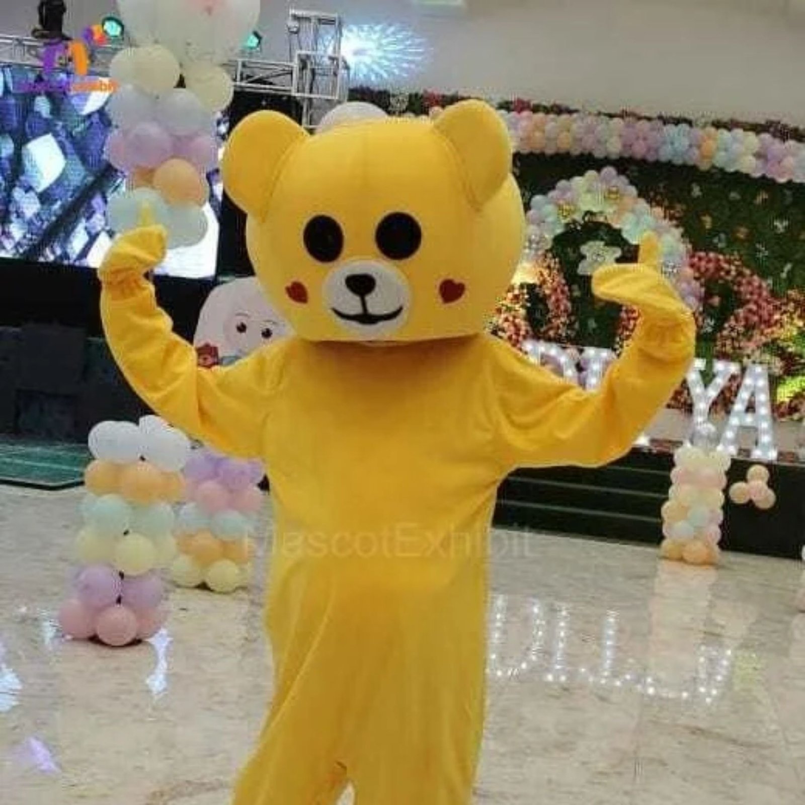 Premium Birthday Decoration Package in Mumbai - Tattoo art/Balloon art, Magic show/Game coordinator and 1 Mascot 6 Yellow mascot